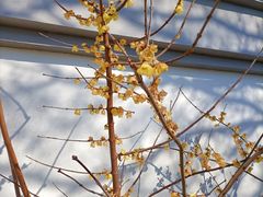 -狼山风景名胜区