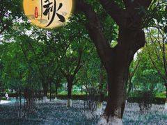 -沙河三洞古桥公园