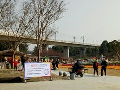 -秀丽东方