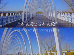 -大兴滨河森林公园