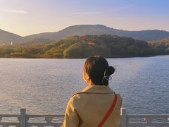 -佛手湖郊野公园
