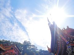 -东莞市大岭山森林公园