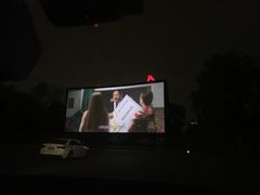 -枫花园汽车电影院(朝阳公园店)