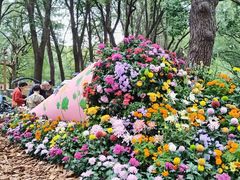 -共青国家森林公园-售票处