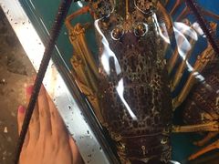 -万宝海鲜舫(劳动公园店)