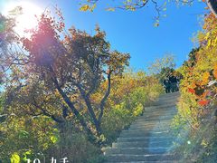 -北京西山国家森林公园