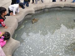 -广东圆玄道观