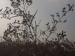 -1919酒类直供(陆家浜路店)