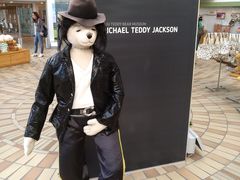 -济州岛泰迪熊博物馆