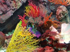 -太平洋海底世界