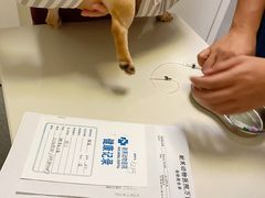 -爱诺耐芙动物医院(万博店)