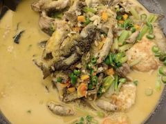 -饭怕鱼·黄焖鲟龙鱼(湖大店)
