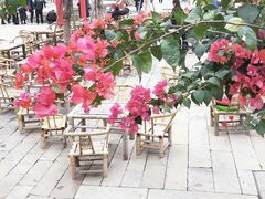 -晋江五店市传统文化旅游区