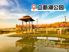 -立新湖公园