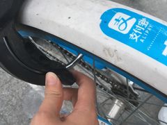 -北京科技大学-游泳馆