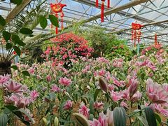 -郑州中国绿化博览园