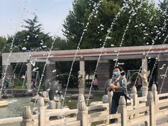 -石家庄市植物园