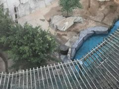-灵玲国际马戏城
