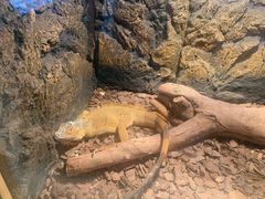 -绿色星球动物主题公园