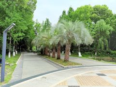 -苏州河梦清园环保主题公园