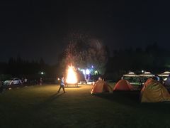 -汤山温泉房车营地 茶温泉