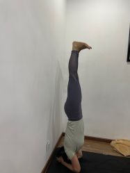 -兴亚瑜伽20年老馆