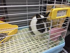 -UltraForce超源健身私教工作室(长楹天街精品店)