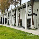 杭州新店|水杉树 🌲一整个心水住了