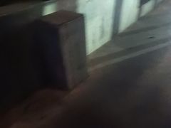 -沪小胖·小龙虾·蓝龙王(八佰伴店)