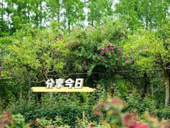 -上海长兴岛郊野公园