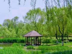 -蠡湖大桥公园