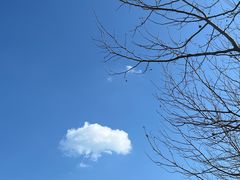 -马栏河运动公园