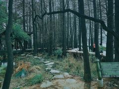 -东湖落雁景区