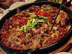 -老板恋上鱼(恒隆广场店)