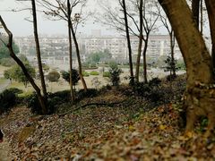 -平湖九龙山旅游度假区
