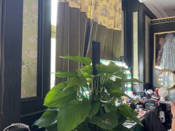 点击看大图 -鼎极摄影(蓝色港湾店)