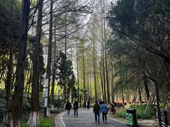 -苏州河梦清园环保主题公园