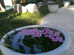 -三亚亚龙湾雅高美爵酒店
