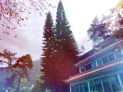 -广州市流溪河国家森林公园