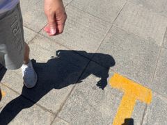 -哈密回王府景区