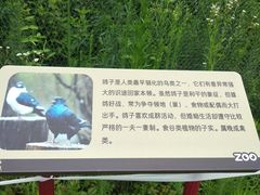 -武汉动物园