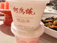 何为酸纯手工奶皮子酸奶-大鸭梨烤鸭(金色漫香店)