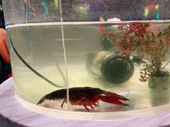 -王红军龙虾(盐仓桥店)