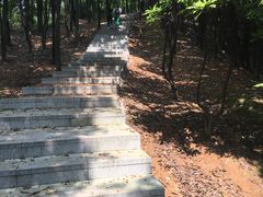 -火炉山森林公园