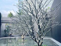 -蓝湾绿城威斯汀度假酒店大堂吧