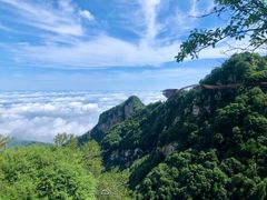 -少华山国家森林公园