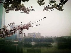 景点-西北湖绿化广场