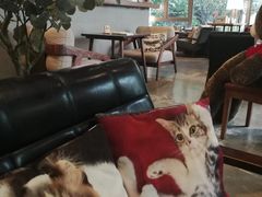 -咖法森林·咖啡  酒吧(天河店)