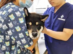 -爱侣宠医·鹦鹉专科·小型哺乳类·异宠专科(灵石路店)