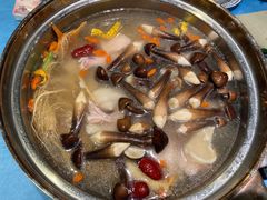 鲜人参锅底-千岛蚝高压锅生蚝·人参火锅(白云万达店)